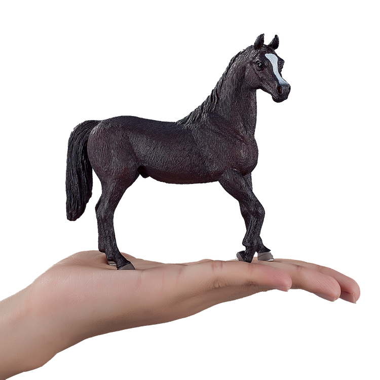 Arabian Stallion Black