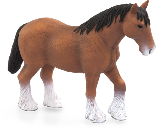 Clydesdale Horse Brown