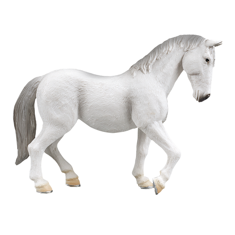 Lipizzaner Mare