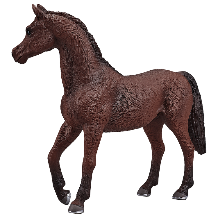 Arabian Stallion Chestnut