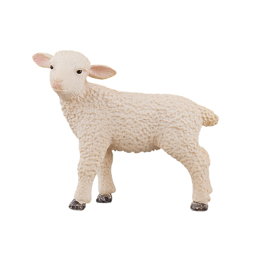Lamb Standing