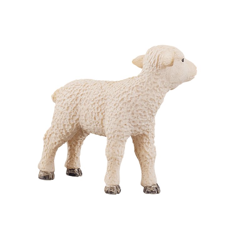 Lamb Standing