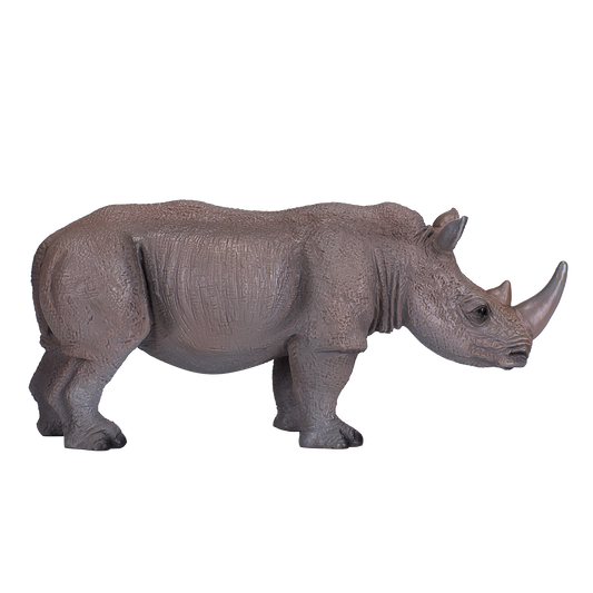 White Rhinoceros
