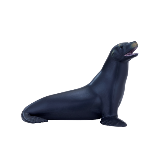 Californian Sea Lion