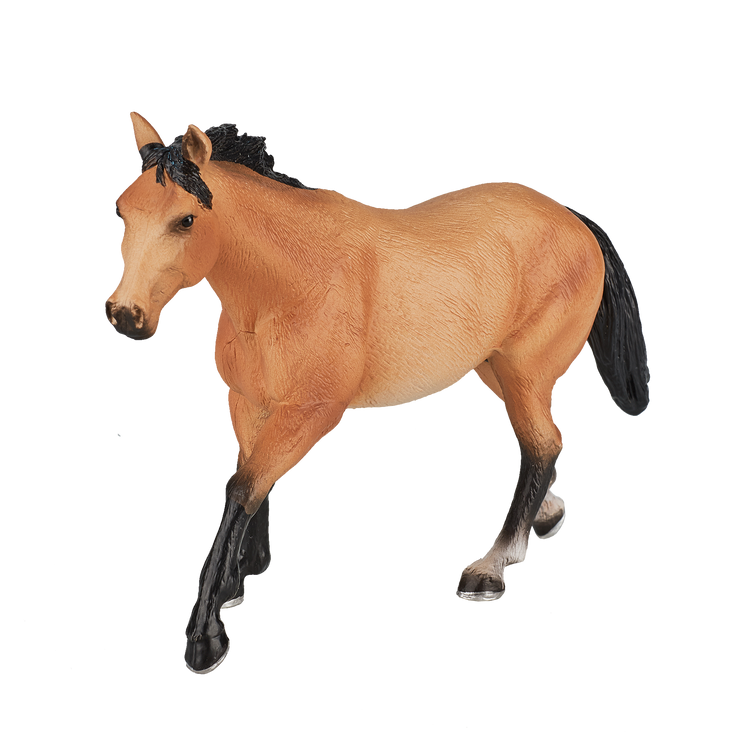 Quarter Horse Buckskin