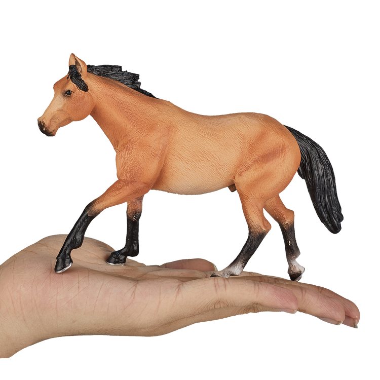 Quarter Horse Buckskin