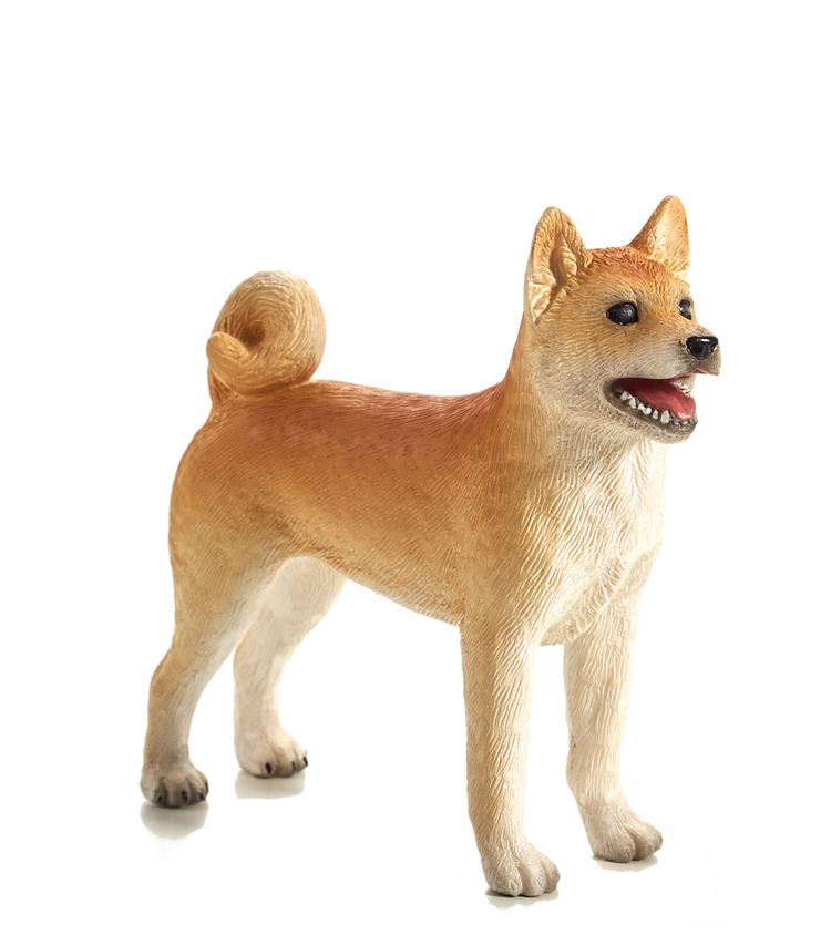 Shiba Inu