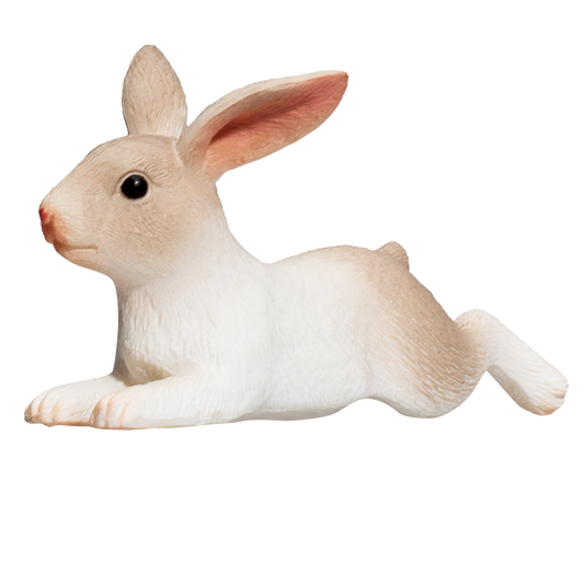 Rabbit Lying