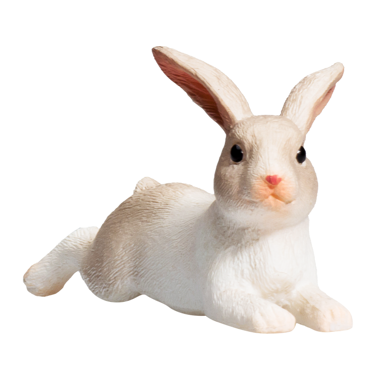 Rabbit Lying
