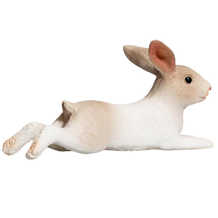 Rabbit Lying