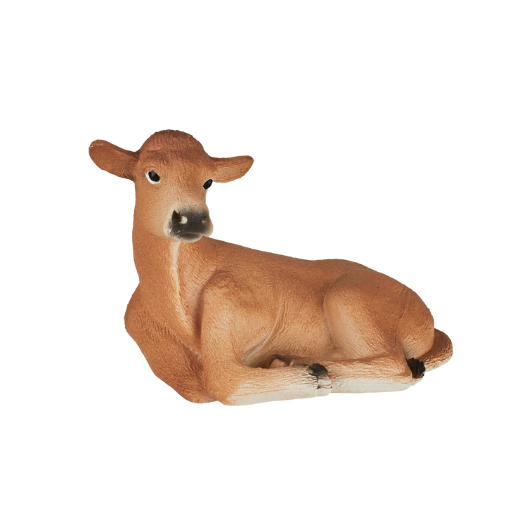 Jersey Calf laying down