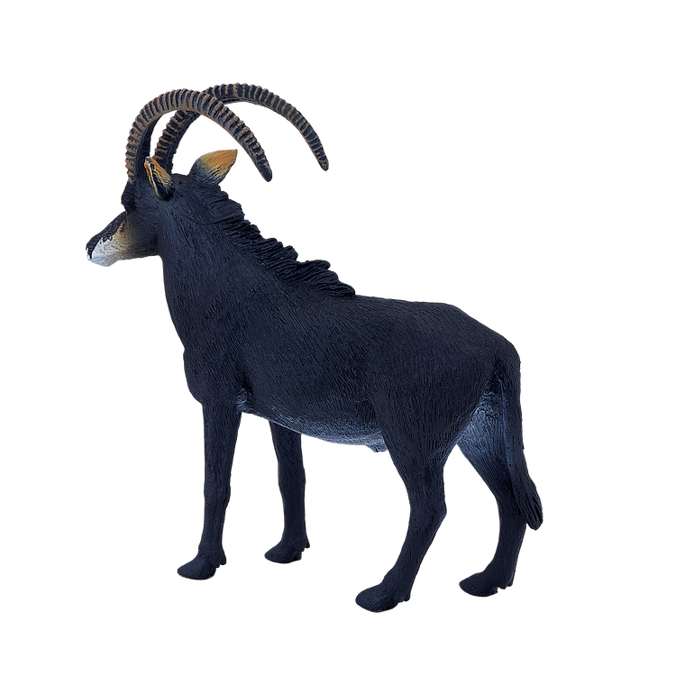 Giant Sable Antelope