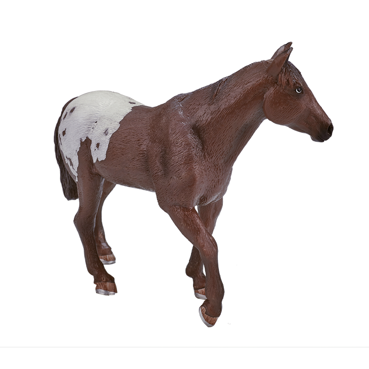 Appaloosa Stallion Chestnut Blanket