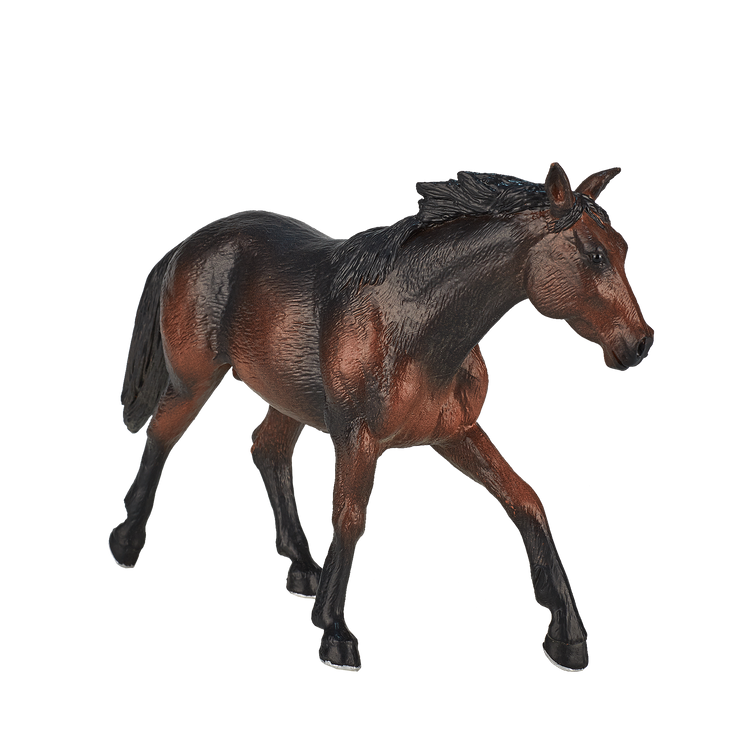 Quarter Horse Sooty Bay