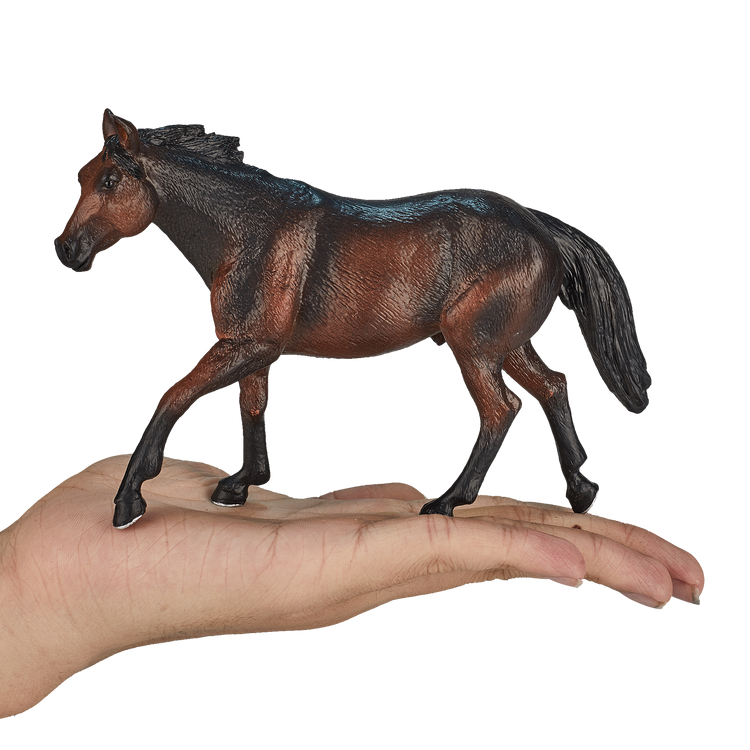 Quarter Horse Sooty Bay