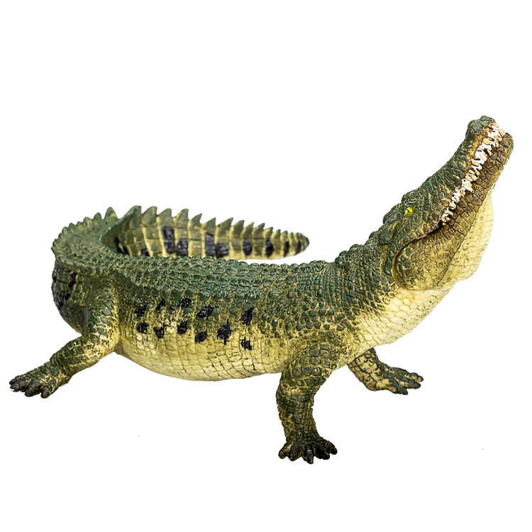 Crocodile with Articulated Jaw