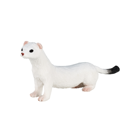 Ermine