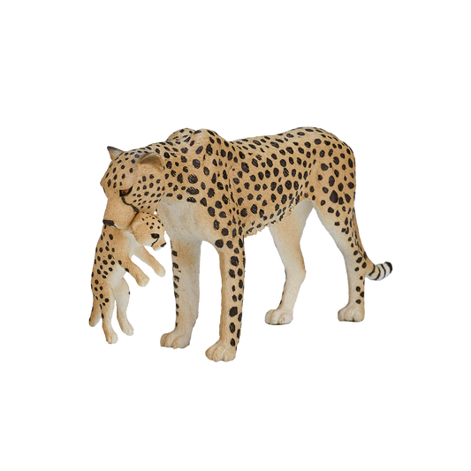 Cheetah Female with Cub