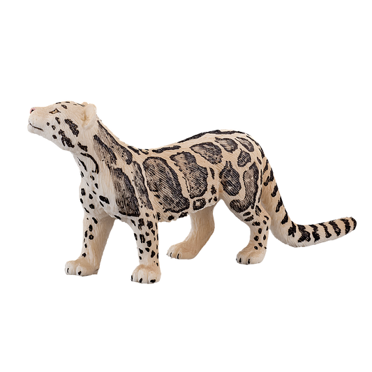 Clouded Leopard