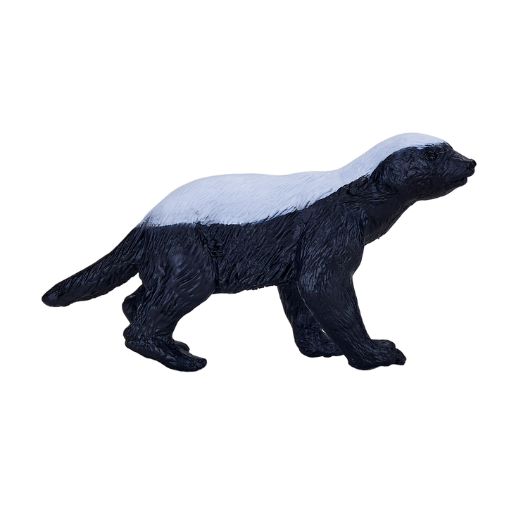 Honey Badger Male