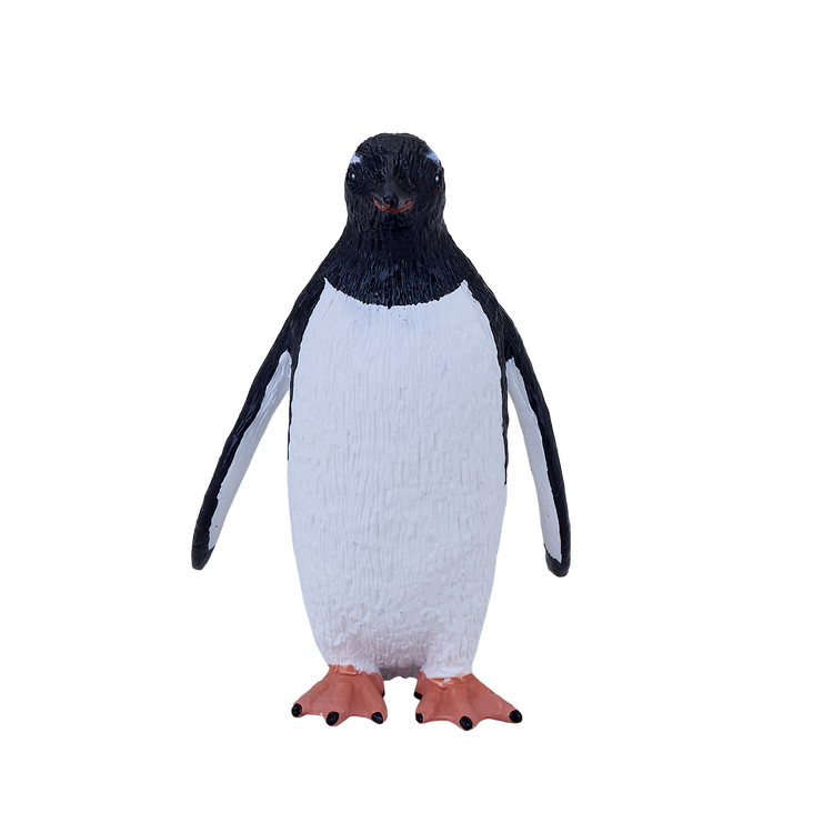 Gentoo Penguin
