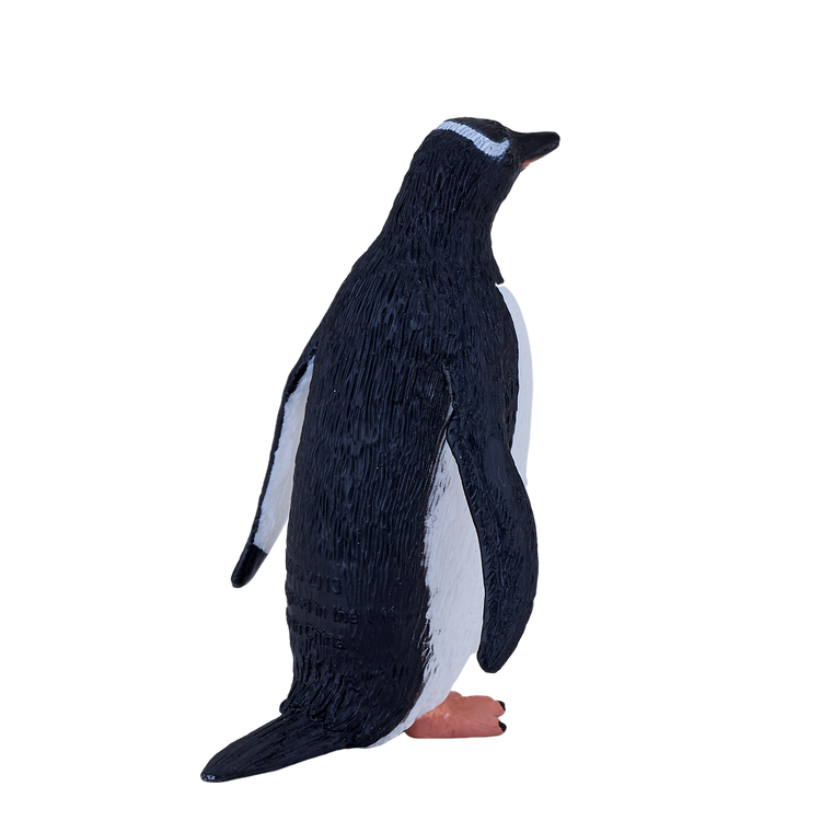 Gentoo Penguin