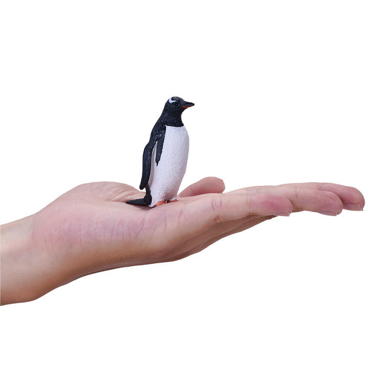 Gentoo Penguin