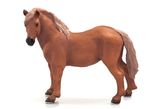 Suffolk Punch Mare