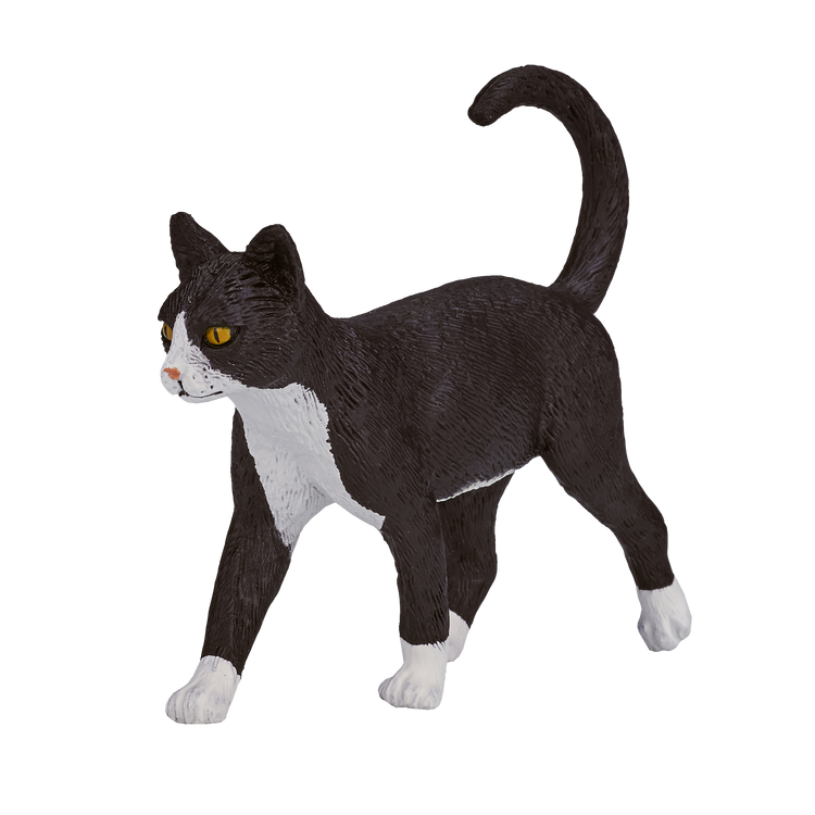 Cat Black & White