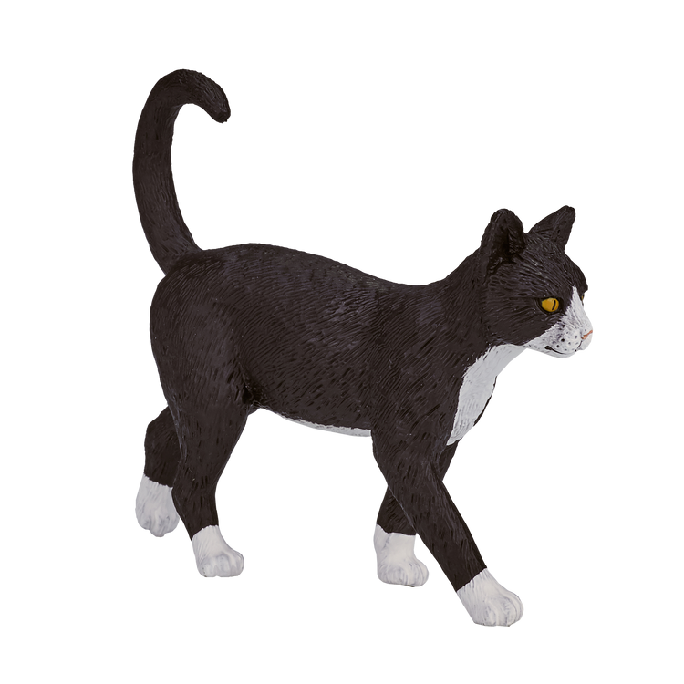 Cat Black & White