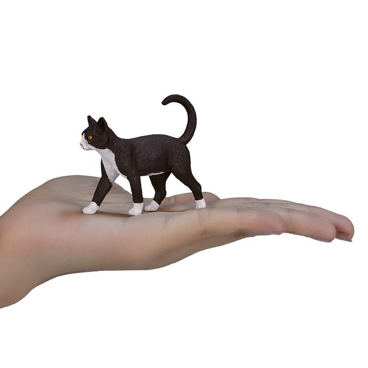 Cat Black & White