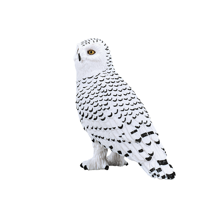 Snowy Owl