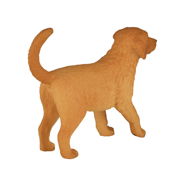 Golden Retriever Puppy