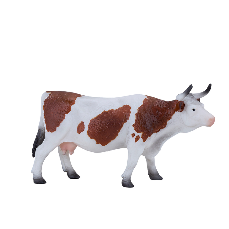 Simmental Cow