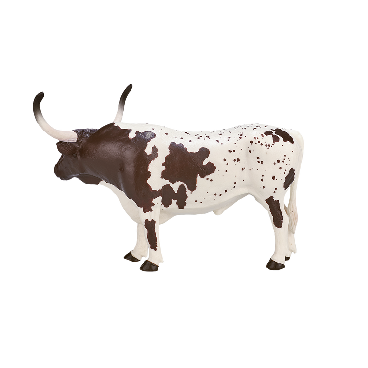Texas Longhorn Bull