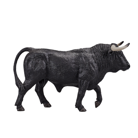 Spanish Bull