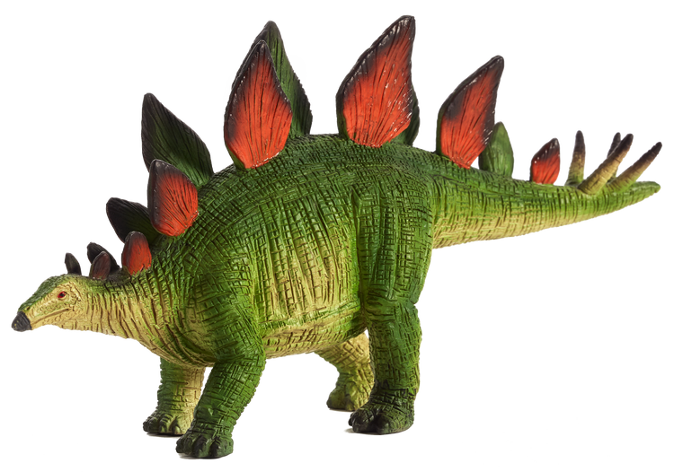 Stegosaurus