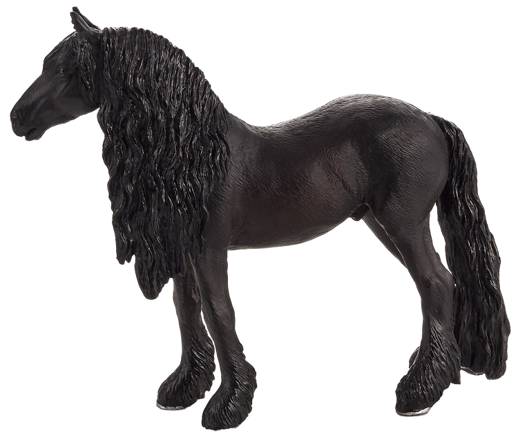 Friesian Gelding