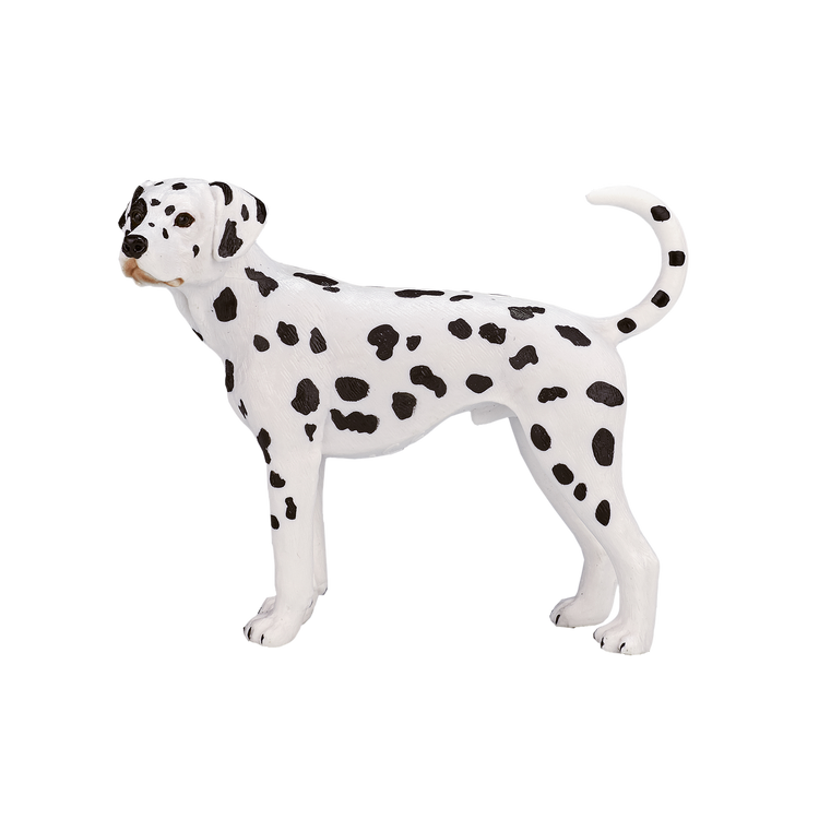 Dalmatian