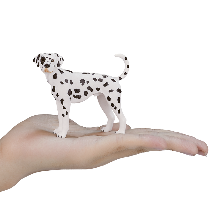 Dalmatian