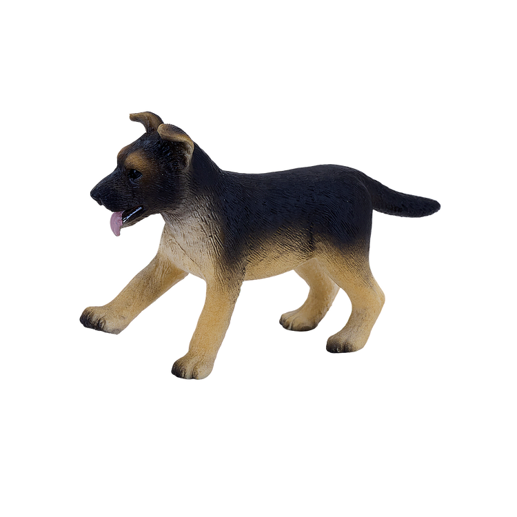 German Shepherd Puppy