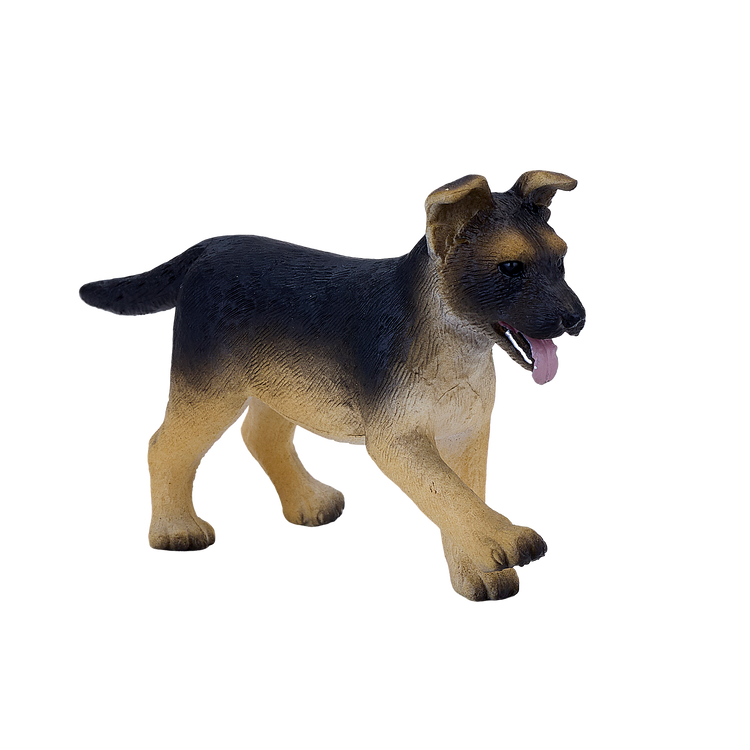 German Shepherd Puppy