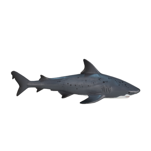 Bull Shark