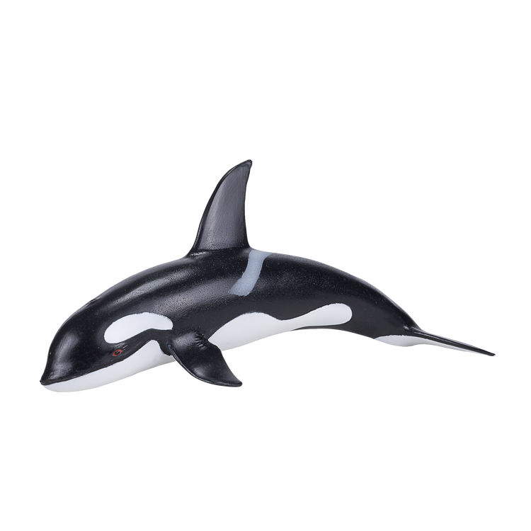 Orca Deluxe