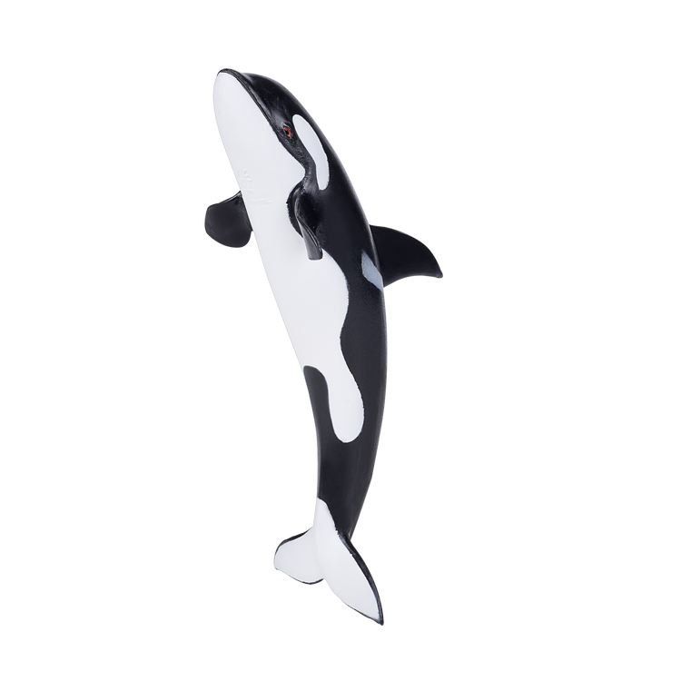 Orca Deluxe