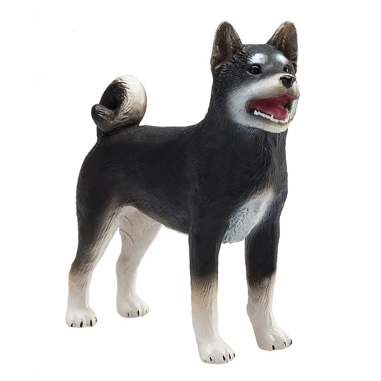 Shiba Inu Black