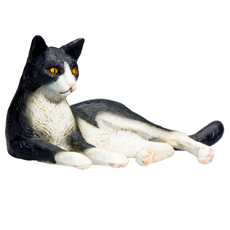 Cat Lying Black and White