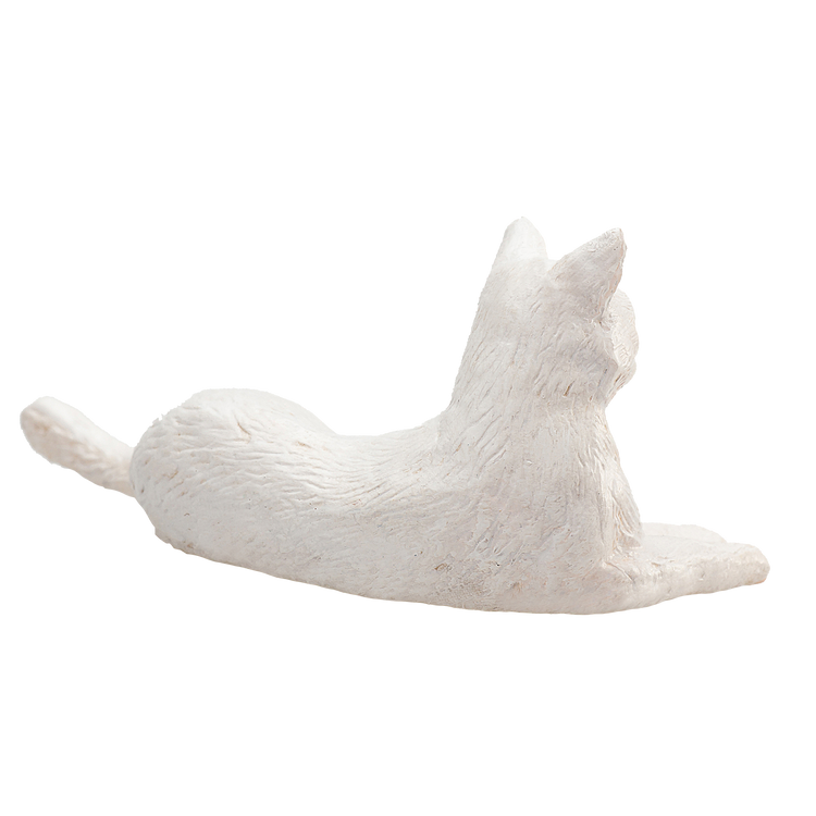Cat Lying White
