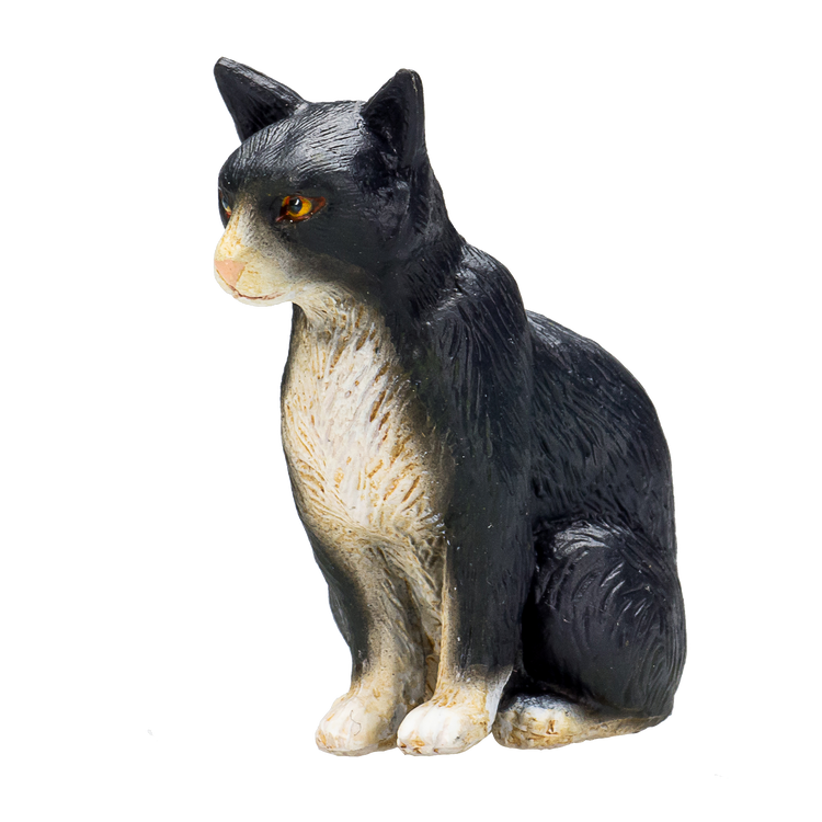 Cat Sitting Black and White