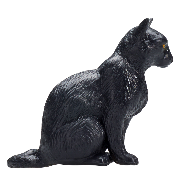 Cat Sitting Black